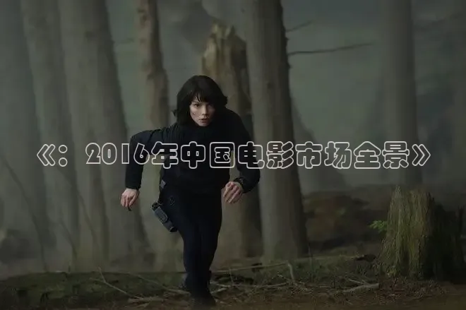 《：2016年中国电影市场全景》